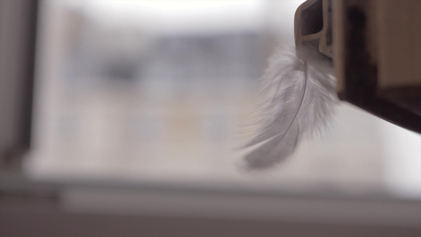 Feather Waving in the Wind alt