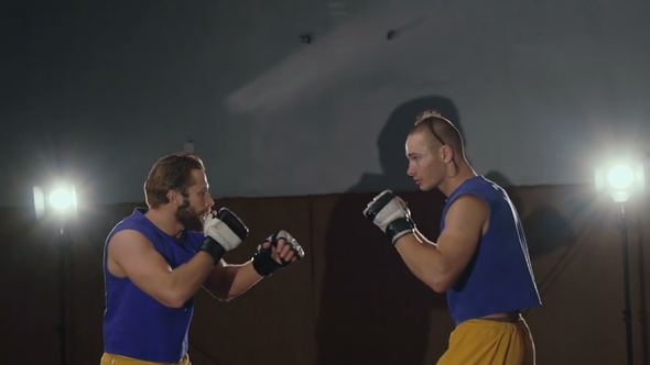 Two Free Fighters Boxing in the Gym