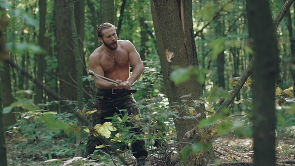 Strong Forester Hacking a Tree in a Forest
