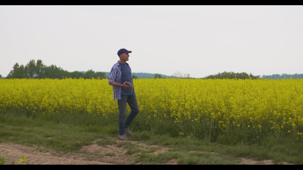 Farmer With Digital Tablet Examining Rape Blossom On Field