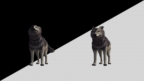 Wolf Howling alt