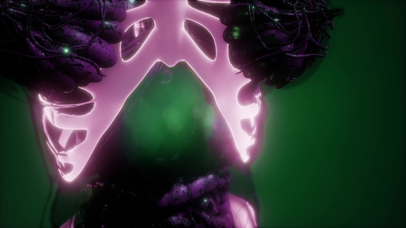 Human Body with Visible Skeletal Bones alt