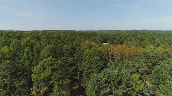 House in Autumn Forest, Shot By Drone. Concept: Forest Trees, Private House, Nature Landscape