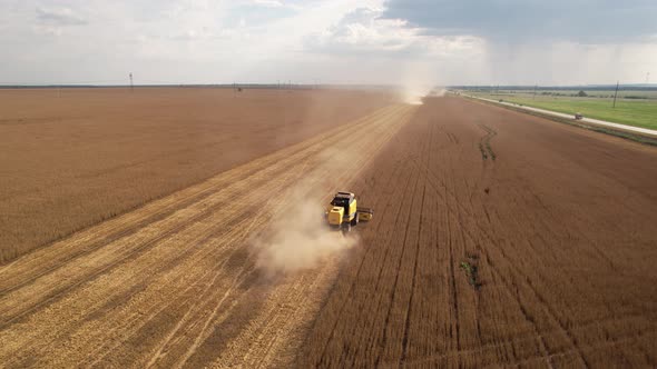 Aerial View of Harvester Machines Working in Wheat Field