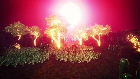 Sunset Glowing Trees Garden 4k  alt