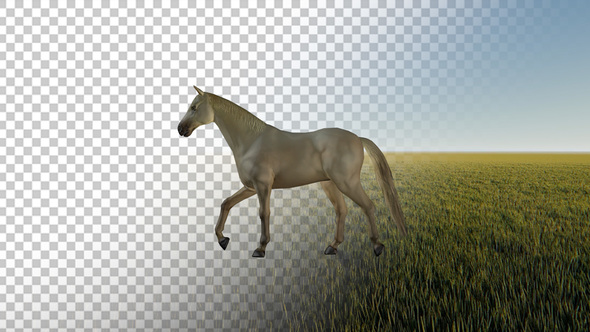 Walking Horse 4K alt