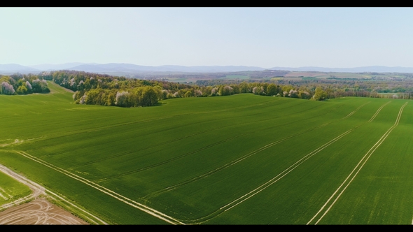 Aerial View of Agricultural Field