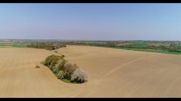 Aerial View of Agricultural Field