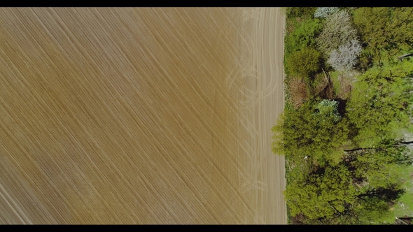 Agriculture Aerial View of Cultivated Field