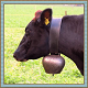 Cow Bell Sound