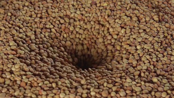 Lentil Flows Into A Crater