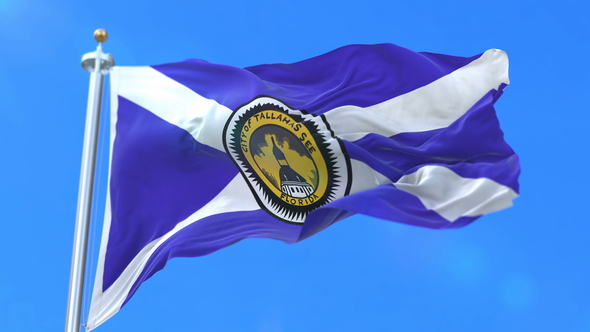 Flag of Tallahassee City of Florida in United States of America alt