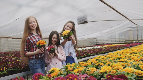 Portrait of Smiling Girls Stretching Synchronously Flower Pots