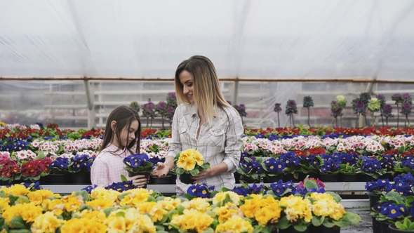  Adult and Girl Looking on Flower Pots in Greenhouse