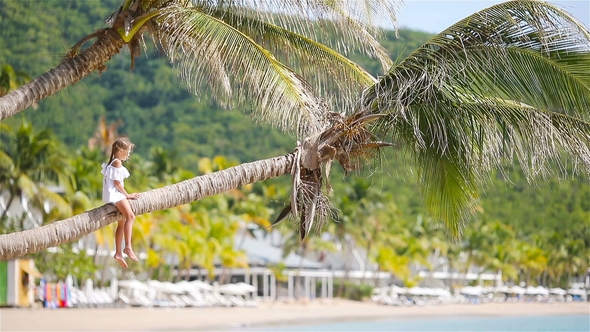 Adorable Little Girl Sitting on Palm Tree During Summer Vacation on White Beach