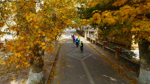 Autumn Cyclists In The City