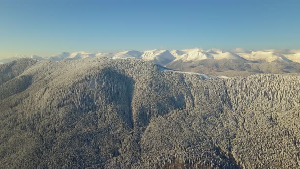 Aerial view of winter landscape with mountain hills covered with evergreen pine forest after