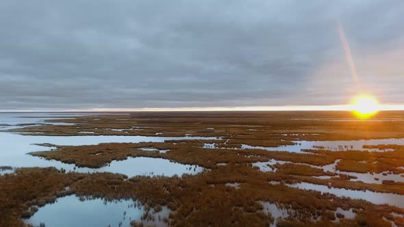 Drone camera shoots overgrown lake and sunset on the horizon in North Shoal Lake, Manitoba, Canada