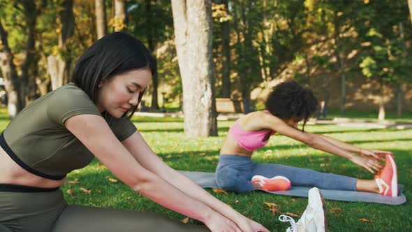 Young Multicultural Female Friends Practicing Stretching Workout Training in Park