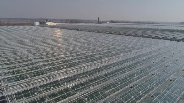 Flying Over Glass Greenhouses Growing Plants in Large Industrial Greenhouses View From a Height