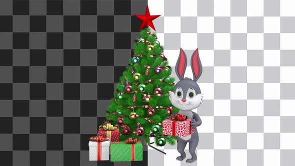 Rabbit With Gift Box Loop