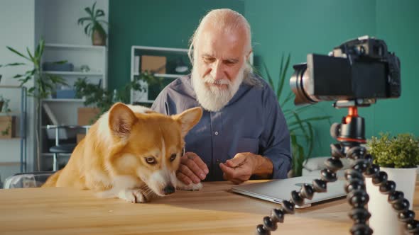 Smiling Older Vlogger Man Recording on Camera New Video Vlog with His Corgi Pet