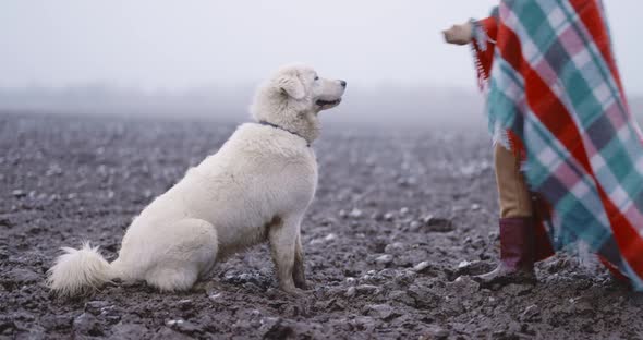 Woman with Her Dog on the Snowy Field