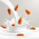 Almond Milk - GraphicRiver Item for Sale