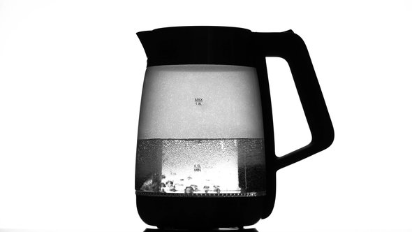 Electric Kettle Begins To Boil. White Background
