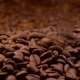Roasted Coffee Beans Falling Down - VideoHive Item for Sale
