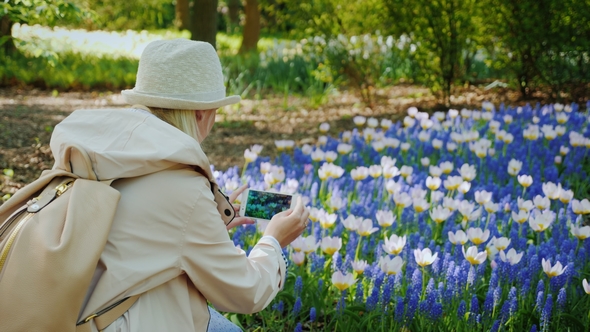 Young Girl in a Hat Takes a Picture on the Phone of a Beautiful Flower Bed with Tulips
