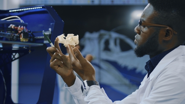 Medical Researcher Watching 3-D Printed Model