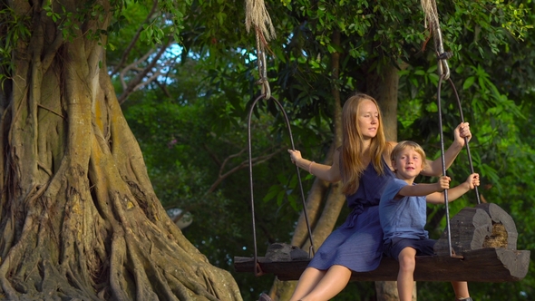 Mother and Son Swing on an Exotic Old Swings Hanging on a Big Tropical Tree in a Tropical Park