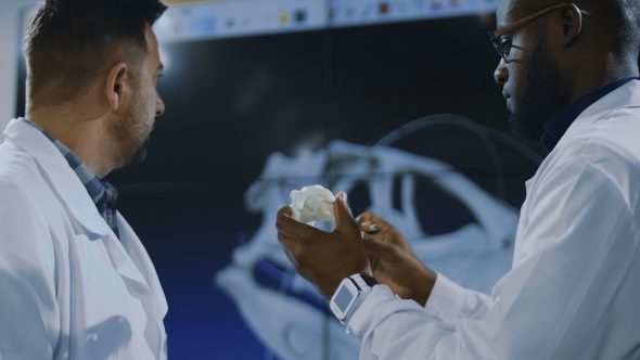 Paleontologists Exploring 3-D Printed Dinosaur Model alt