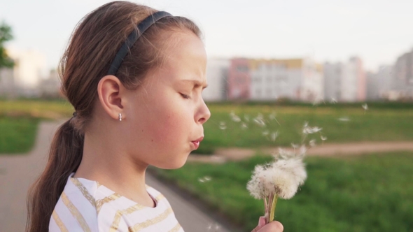 Cute Little Girl Blowing on Dandelion on City Lawn in Summer Day