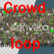 Stadium Crowd Loop - VideoHive Item for Sale
