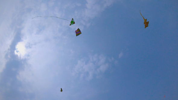 Scaleup Kites