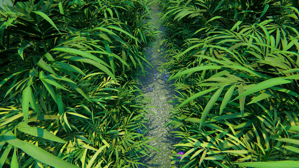 Fly Over The Forest alt