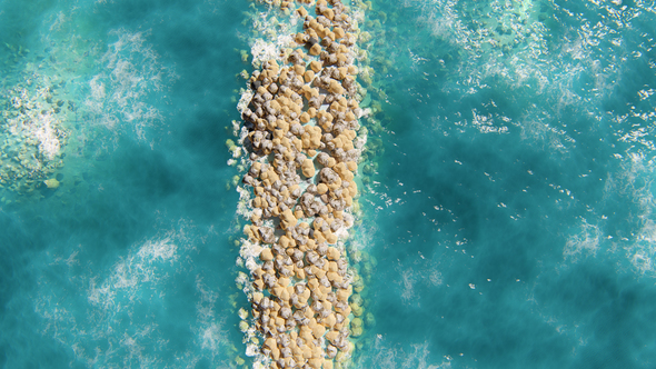 Rocky Jetty In The Ocean