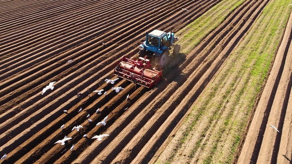 Agricultural Work on a Tractor Farmer Sows Grain.