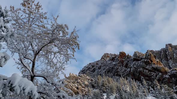 Fresh snow covers the landscape near Boulder Colorado