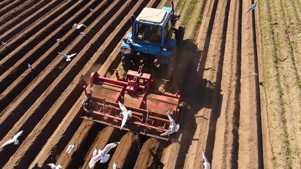 Agricultural Work on a Tractor Farmer Sows Grain.