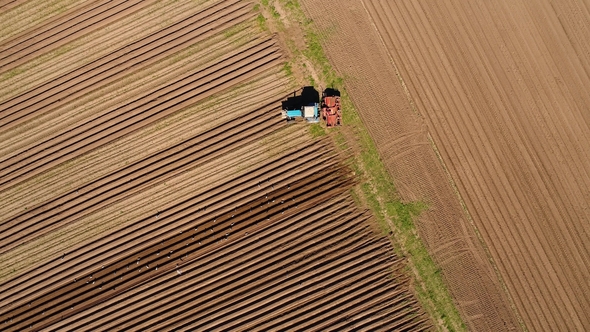 Agricultural Work on a Tractor Farmer Sows Grain.