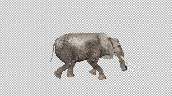 Elephant Walk Attack alt