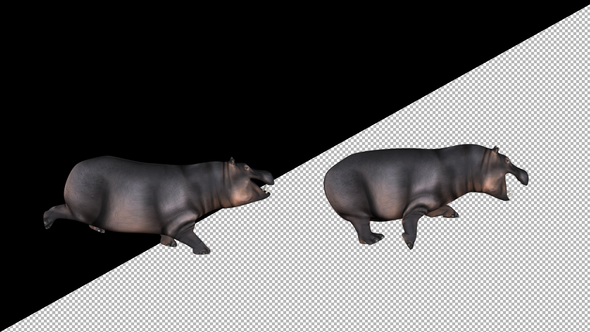 Hippopotamus Run alt