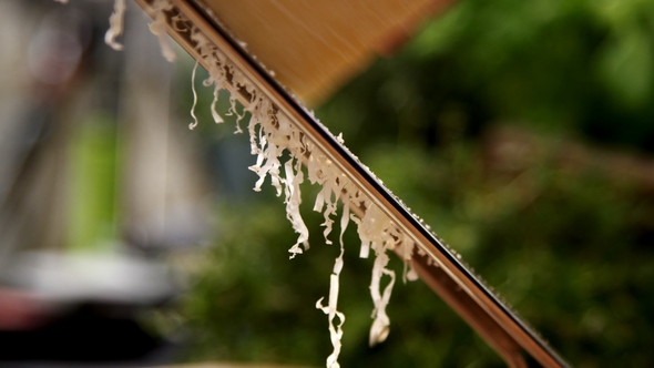 Grating Fresh Cheese