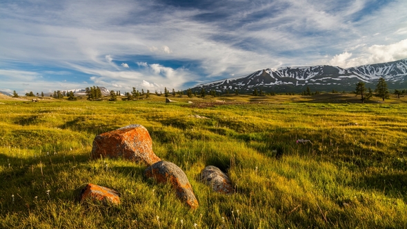 Sunset in the Mountains of Altai, Mongolia. Meadow with Edelweisses