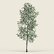 Game Ready Forest Tree 09 - 3DOcean Item for Sale