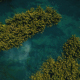 Lake In The Jungle - VideoHive Item for Sale