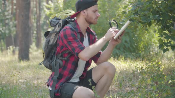 Side View Portrait of Absorbed Concentrated Young Man Examining Green Tree Leaf with Magnifying